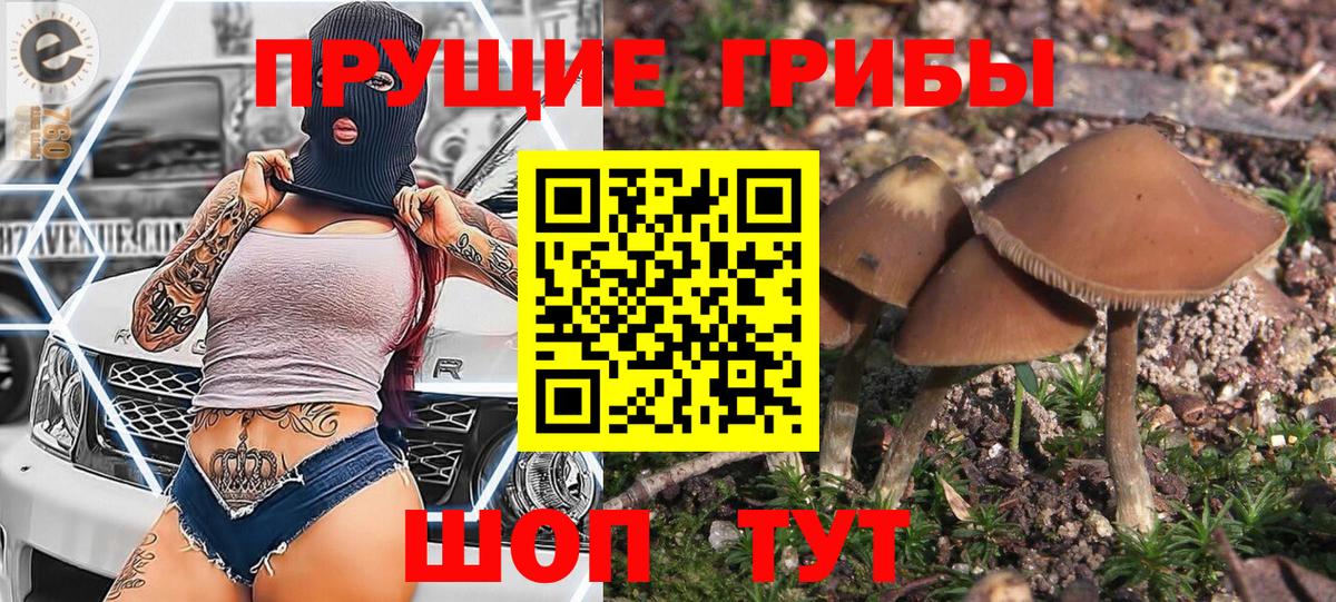 Галлюциногенные грибы Cubensis Лыткарино