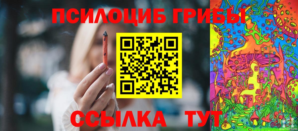 Галлюциногенные грибы MAGIC MUSHROOMS  Вход с VPN  Лыткарино 